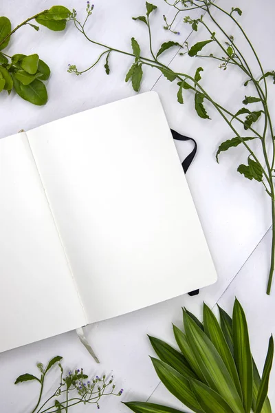 Open notebook top view photo on white background. Romantic social media stories template flat lay with white page for message and natural foliage