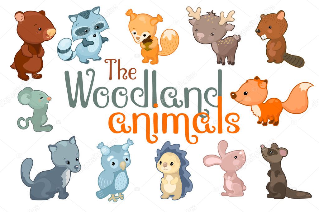 Cute woodland animals. Animal character set of vector illustrations on white background. Colorful wild animal sticker. Children or nursery logo. Baby zoo icon. Forest nature or friendly zoo clipart