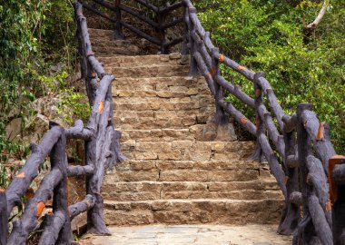 Tropikal ormanda kırsal merdivenler. Orman yürüyüşü fotoğrafı. Doğal rezervasyon yürüyüşü konsepti. Yağmur ormanlarında doğa yürüyüşü.