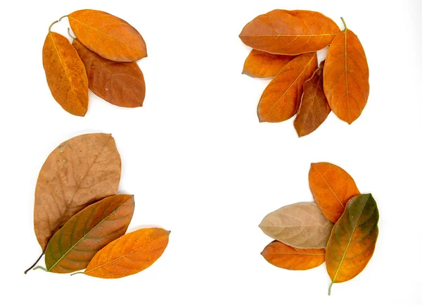 Orange autumn leaf on white background. Seasonal decor top view photo. Fall season flat lay with orange leaves and place for text. — Stock Photo, Image