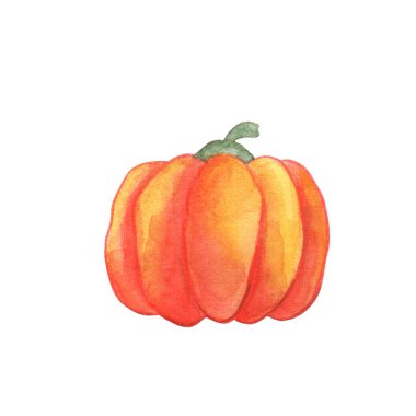 Orange pumpkin watercolor illustration on white background. Autumn seasonal handdrawn icon.