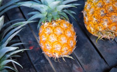 Kırsal ahşap tezgahta yuvarlak sarı ananas. Tropikal tarım pazarında satılık taze ananas demeti.