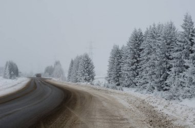 Yol, kar, ağaçlar, kış, soğuk