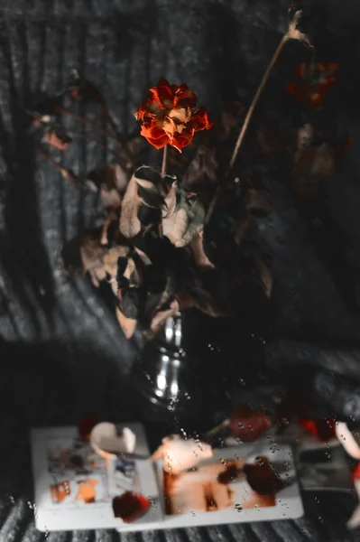 Withered Flower Vase — 스톡 사진