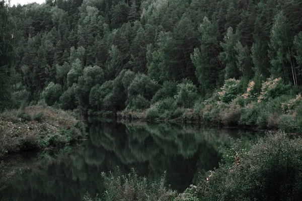 Fiume Nella Foresta Colori Scuri — Foto Stock