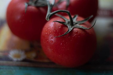 Domates su damlaları yakın çekim bir dal üzerinde