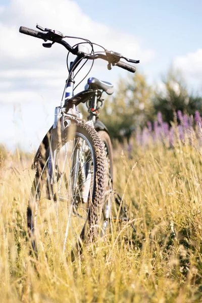 Yolda sahada bisiklet. Seyahat, spor, eğlence.