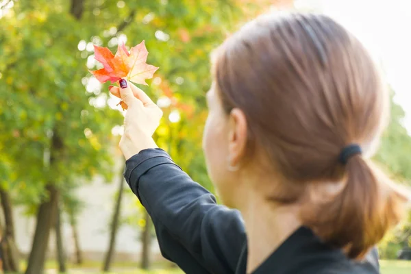 女性の手で黄金のオレンジと赤のカエデの葉秋 — ストック写真