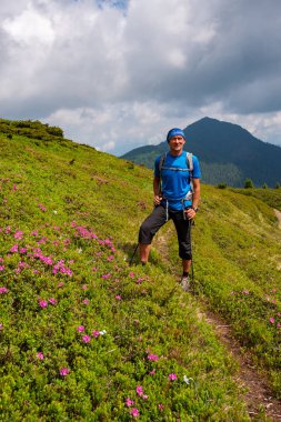 Gülümseyen maceraperest pembe çiçekli orman gülleri arasında yeşil dağ yamacında duruyor. Dağlarda epik seyahat. 