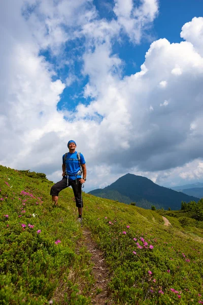 Mutlu maceraperest pembe çiçekli orman gülleri arasında yeşil dağ yamacında duruyor. Dağlarda epik seyahat.