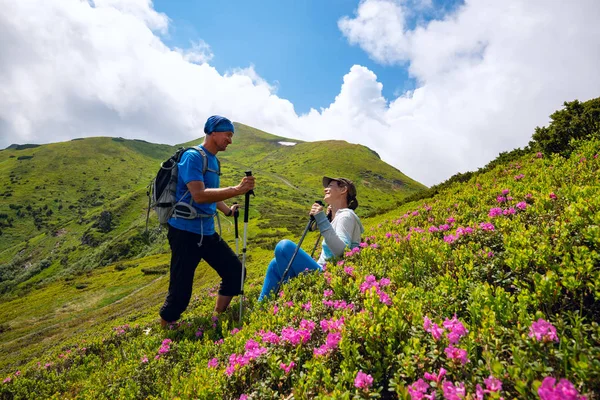 Glückliches Paar Genießt Das Leben Grünen Berghang Inmitten Blühender Rosa — Stockfoto