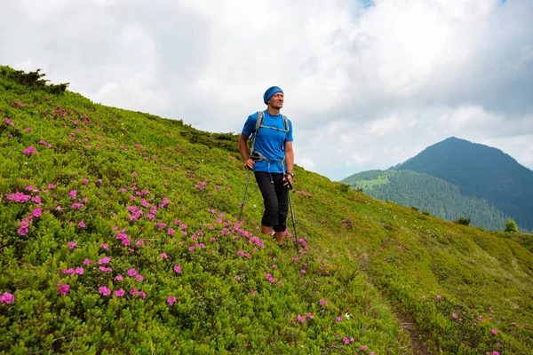 Mutlu maceraperest pembe orman gülleri çiçeklenme ve mesafe içine bakarak arasında yeşil dağ yamacında duruyor. Dağlarda epik seyahat.