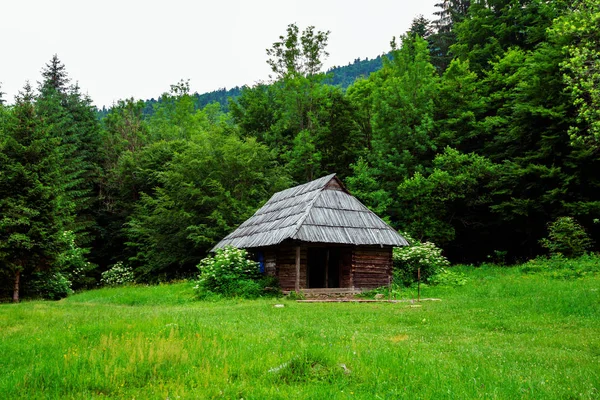 Stare Drewniane Chaty Łące Zielona Góra Tle Drzew — Zdjęcie stockowe