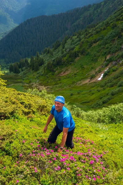 Gülümseyen maceraperest pembe orman gülleri çiçeklenme ve hayattan zevk arasında yeşil dağ yamacı tırmanıyor. Dağlarda epik seyahat.