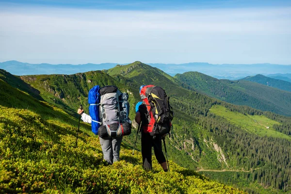 Aventureros Con Mochilas Encuentran Ladera Verde Montaña Admiran Panorama Las — Foto de Stock