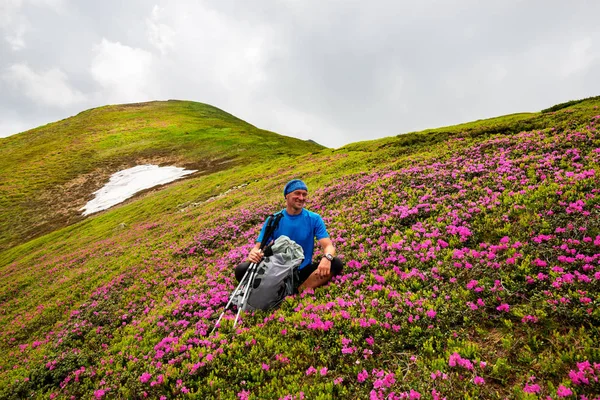 Vrolijke Avonturier Ontspant Groene Berghelling Onder Bloeiende Roze Rododendrons Genieten — Stockfoto