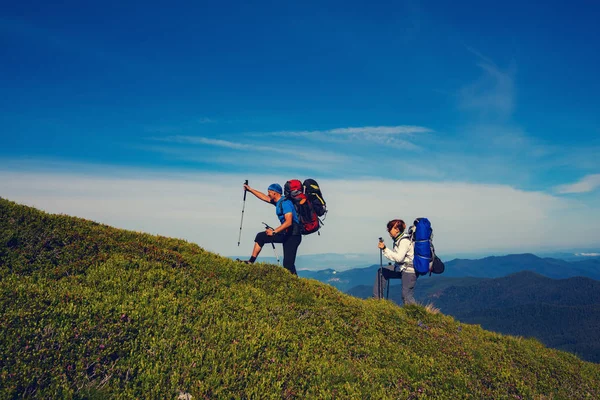 Frohe Abenteurer Mit Rucksäcken Wandern Entlang Des Grünen Bergrückens Und — Stockfoto