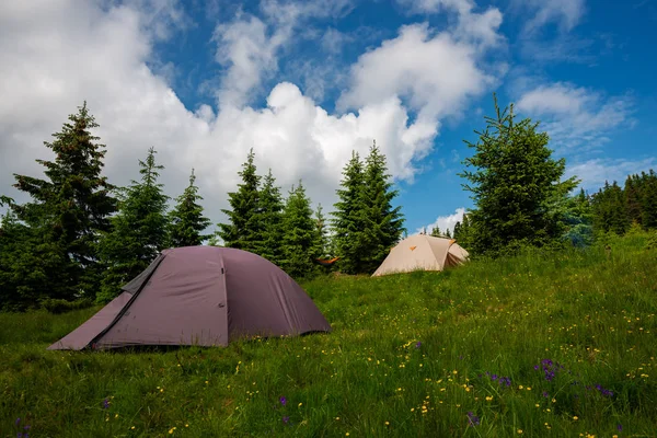 Tents Green Mountain Meadow Wildflowers Huge Fir Trees Background Blue — Stock Photo, Image