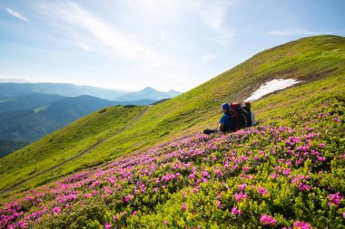Sırt çantaları ile mutlu maceracılar izi arasında pembe çiçekli orman gülleri güneşli günde dinlenin ve Dağları Panoraması hayranım. Epik seyahat dağlarda. Arkadan görünüm, geniş açı.