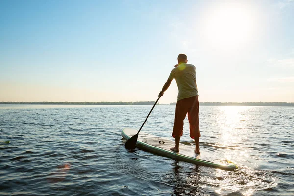 日当たりの良い午前中に大きな川沿いの Sup ボードを漕ぐ男 スタンド アップ パドルボーディング 自然の中の素晴らしいレジャー バックライト 背面図 — ストック写真