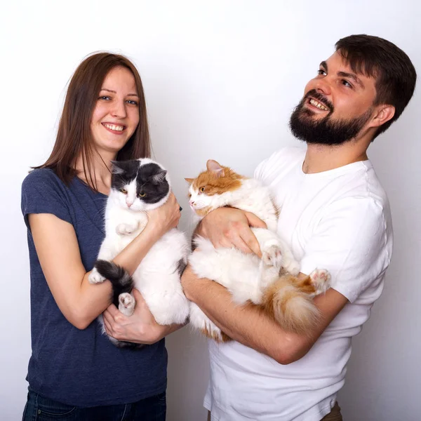 Jovem Casal Feliz Com Seus Gatos Bem Tratados Posa Estúdio — Fotografia de Stock