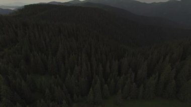 Uçuş fırtına öncesi sessizlik büyük Karpatlar orman yukarıda. Karanlık Clear gün. Ufuktaki dağlar. Havadan görünümü