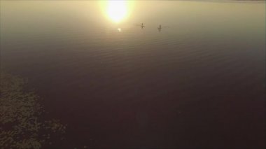 Uçuş büyük Nehri üzerinde. Yükselen güneş ışınlarının bir Sup kurullarında iki arkadaş yelken. Arka ışık. Havadan görünümü. 