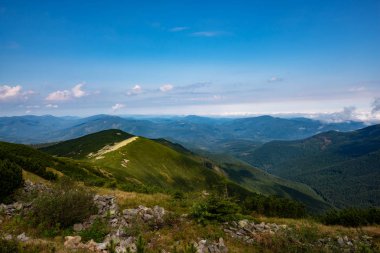 Yeşil dağ tepeleri görünümünü çarpıcı hangi mavi pus ufuk için streç çam ormanı ile kaplı. Karpat Dağları, Ukrayna. Geniş açı. 