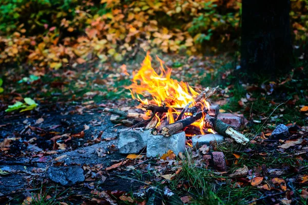Foc Tabără Luminos Lamă Într Pădure Toamnă — Fotografie, imagine de stoc