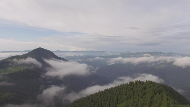 Voo Sobre Colinas Arborizadas Para Cadeias Montanhosas Névoa Azul Horizonte — Vídeo de Stock