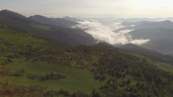 Lot Nad Zalesione Wzgórza Górskie Doliny Niebieskim Haze Horyzoncie Podczas — Wideo stockowe