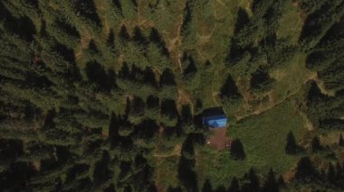 Dağın zirvesine yolun üzerinde uçuş güneşli bir günde çam ormanları ile kaplı. Karpat Dağları'nın havadan görünümü.