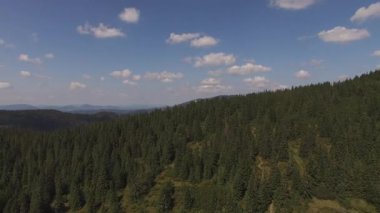 Dağları Panoraması, güneşli bir günde kozalaklı ormanları ile kaplı. Karpat Dağları'nın havadan görünümü.