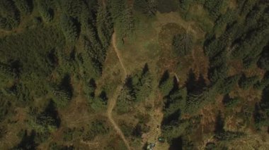 Dağın zirvesine yolun üzerinde uçuş güneşli bir günde çam ormanları ile kaplı. Karpat Dağları'nın havadan görünümü.