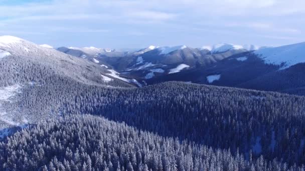 Vista Aérea Las Montañas Invierno Cubiertas Bosques Coníferas Una Tarde — Vídeo de stock