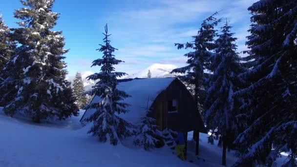 探险家的女人爬上木制的楼梯 变成了山中的一座老木屋 日落时分 巨大的白雪覆盖的松树中 冬天山鸟瞰 — 图库视频影像