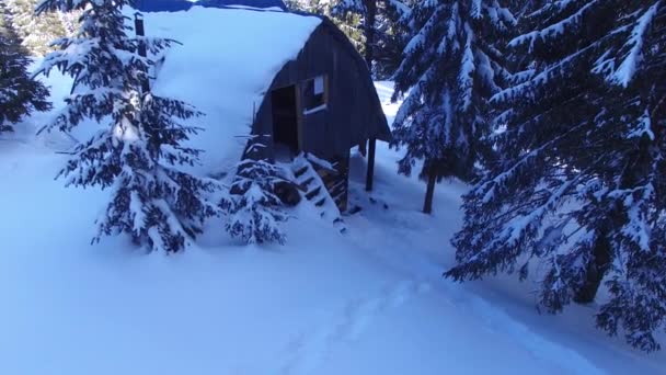 Flygfoto Över Resenären Som Ute Och Går Bland Enorma Snötäckta — Stockvideo