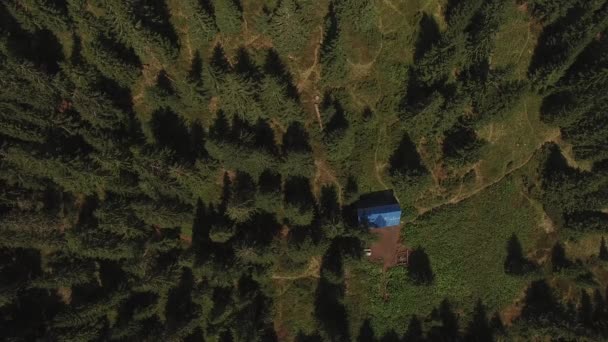 山の頂上へのトレイルのフライトは 晴れた日にマツ林で覆われました カルパティア山脈の空撮 — ストック動画