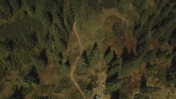 Vuelo Sobre Sendero Cima Montaña Cubierta Bosque Pinos Día Soleado — Vídeos de Stock