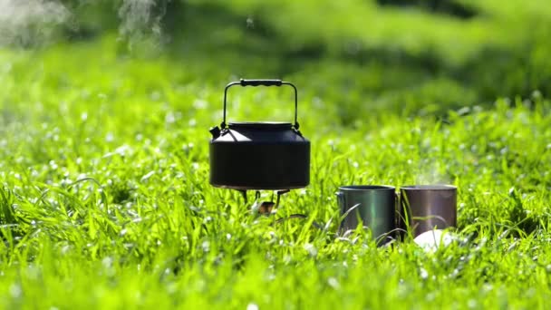 古いやかん晴れた朝 週末ピクニック中にコーヒーにグリーン上のカップの横に小型のガスバーナー上草原で加熱 — ストック動画