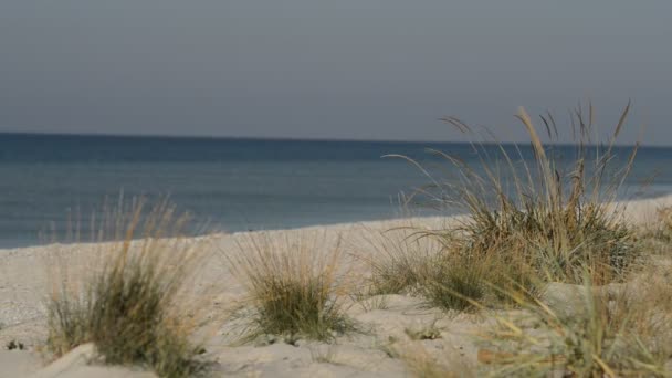 Man Walks Beach Sunny Windy Day Meditates Looks Distance Back — Stock Video