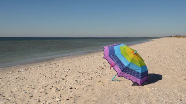 Viento Lleva Colorido Paraguas Largo Playa Día Soleado — Vídeo de stock