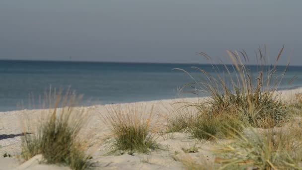 Человек Идет Пляжу Солнечный Ветреный День Медитирует Смотрит Вдаль Вид — стоковое видео