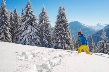 Neşeli maceraperest, kadın bir güneşli sabah dağ Vadisi arka plan üzerinde kar kaplı büyük çam ağaçları arasında çalışıyor. Epik kış seyahat dağlarda.
