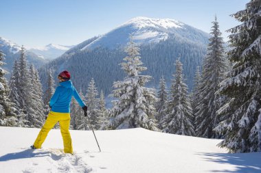Neşeli maceraperest, kadın kar kış Dağları'nda bir güneşli sabah memnun ile kaplı büyük çam ağaçları arasında duruyor. Epik kış seyahat dağlarda. Arkadan görünüm.