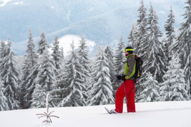 Kar ayakkabılarını maceraperest karla kaplı büyük çam ağaçları arasında standları, onun önünde ağaçlık tepelerin harika görünümü hayran. Epik kış seyahat dağlarda. 