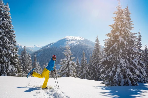 Vrolijke Avonturier Vrouw Sneeuwschoenen Plezier Onder Grote Pijnbomen Bedekt Met — Stockfoto
