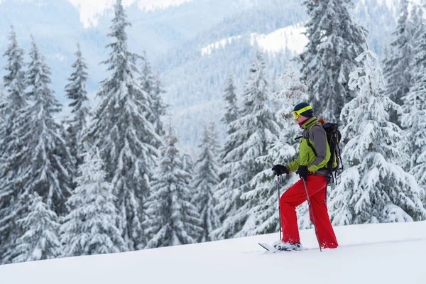 Aventurier Lutte Travers Neige Profonde Raquettes Parmi Les Grands Pins — Photo