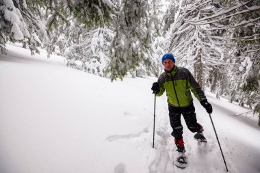 Gezgin kar yağışı sırasında kar ile kaplı büyük çam ağaçları arasında snowshoeing gider. Epik kış macera dağlarda. Geniş açı.