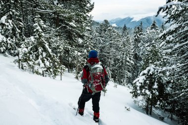 Gezgin kar yağışı sırasında kar ile kaplı büyük çam ağaçları arasında snowshoeing gider ve Dağları Panoraması hayran. Epik kış macera vahşi doğada. Arkadan görünüm.